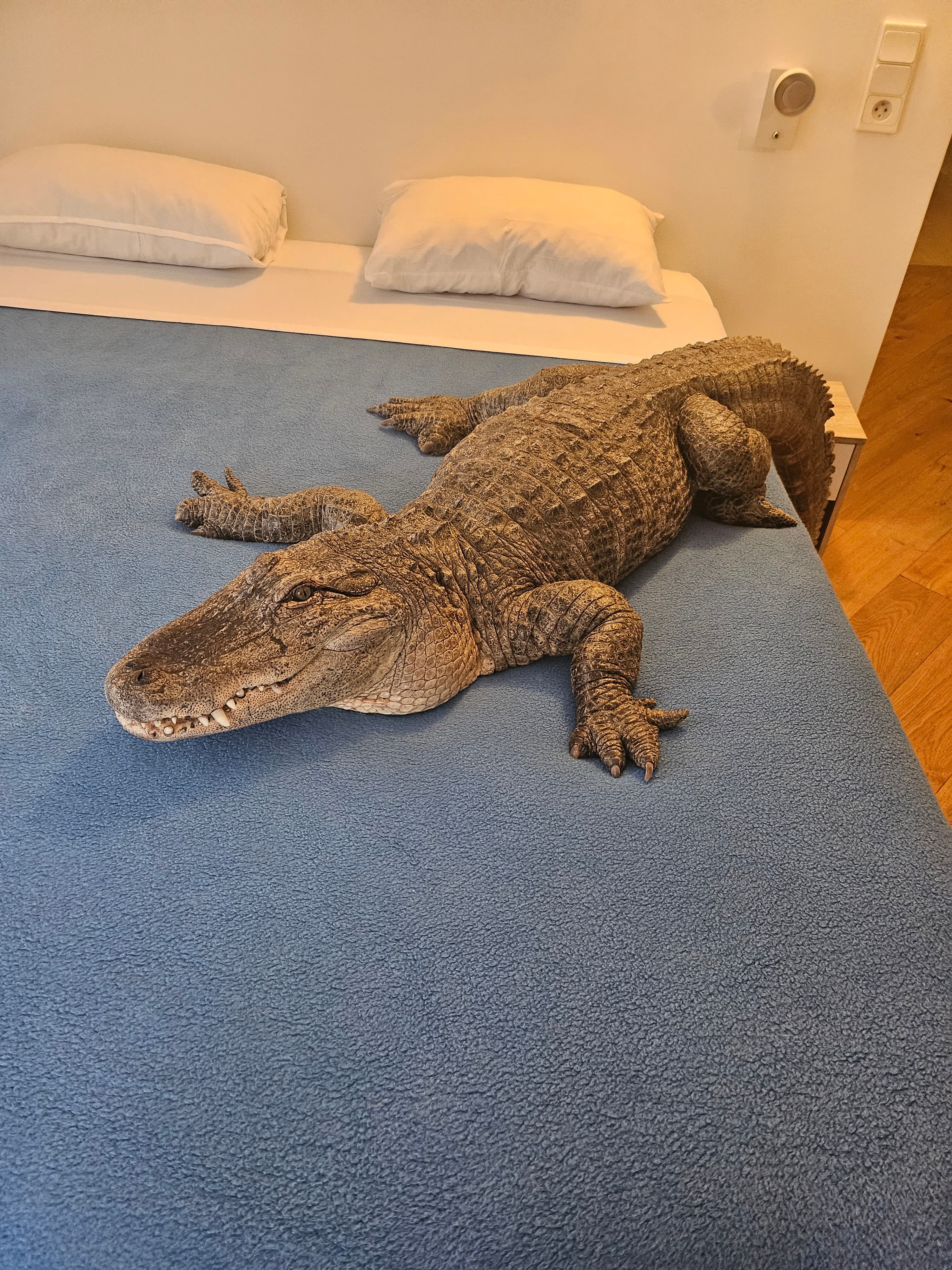 Photo historique de l'Hôtel La Louisiane